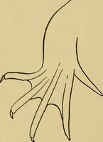 An illustration from Indoor and outdoor handicraft and recreation for girls (1904)