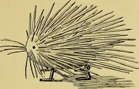An illustration from Indoor and outdoor handicraft and recreation for girls (1904)