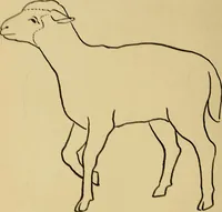 An illustration from Indoor and outdoor handicraft and recreation for girls (1904)