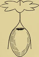 An illustration from Indoor and outdoor handicraft and recreation for girls (1904)
