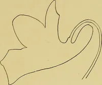 An illustration from Indoor and outdoor handicraft and recreation for girls (1904)
