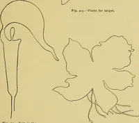 An illustration from Indoor and outdoor handicraft and recreation for girls (1904)