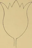 An illustration from Indoor and outdoor handicraft and recreation for girls (1904)