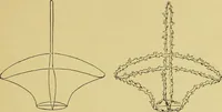 An illustration from Indoor and outdoor handicraft and recreation for girls (1904)