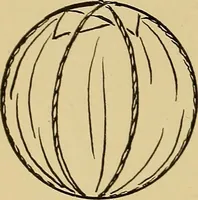 An illustration from Indoor and outdoor handicraft and recreation for girls (1904)