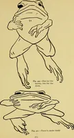 An illustration from Indoor and outdoor handicraft and recreation for girls (1904)