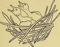 An illustration from Indoor and outdoor handicraft and recreation for girls (1904)