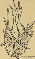 An illustration from Indoor and outdoor handicraft and recreation for girls (1904)