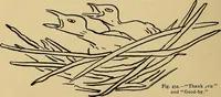An illustration from Indoor and outdoor handicraft and recreation for girls (1904)