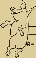 An illustration from Indoor and outdoor handicraft and recreation for girls (1904)