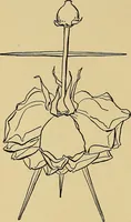 An illustration from Indoor and outdoor handicraft and recreation for girls (1904)