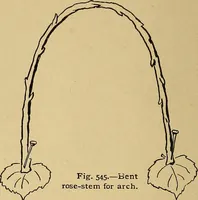 An illustration from Indoor and outdoor handicraft and recreation for girls (1904)