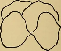 An illustration from Indoor and outdoor handicraft and recreation for girls (1904)