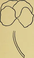An illustration from Indoor and outdoor handicraft and recreation for girls (1904)