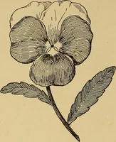 An illustration from Indoor and outdoor handicraft and recreation for girls (1904)