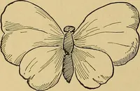 An illustration from Indoor and outdoor handicraft and recreation for girls (1904)