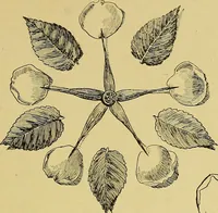 An illustration from Indoor and outdoor handicraft and recreation for girls (1904)