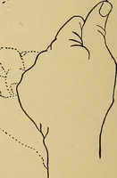An illustration from Indoor and outdoor handicraft and recreation for girls (1904)