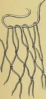 An illustration from Indoor and outdoor handicraft and recreation for girls (1904)
