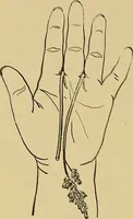An illustration from Indoor and outdoor handicraft and recreation for girls (1904)