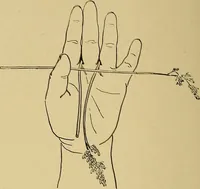 An illustration from Indoor and outdoor handicraft and recreation for girls (1904)