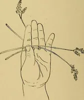 An illustration from Indoor and outdoor handicraft and recreation for girls (1904)