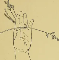 An illustration from Indoor and outdoor handicraft and recreation for girls (1904)