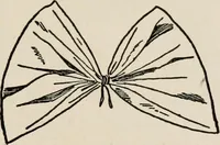 An illustration from Indoor and outdoor recreations for girls (1906)