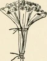 An illustration from Indoor and outdoor recreations for girls (1906)