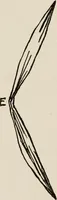 An illustration from Indoor and outdoor recreations for girls (1906)