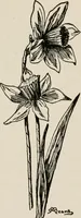 An illustration from Indoor and outdoor recreations for girls (1906)