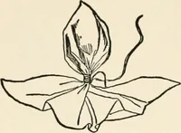 An illustration from Indoor and outdoor recreations for girls (1906)