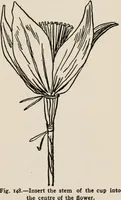 Picture 115 of 329 from Indoor and outdoor recreations for girls (1906), leaf 122