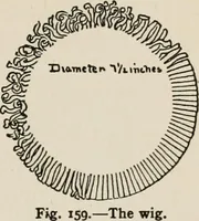 An illustration from Indoor and outdoor recreations for girls (1906)