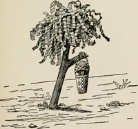 Picture 141 of 329 from Indoor and outdoor recreations for girls (1906), leaf 150
