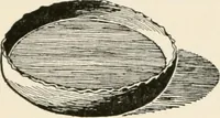 An illustration from Indoor and outdoor recreations for girls (1906)