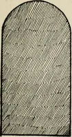 An illustration from Indoor and outdoor recreations for girls (1906)