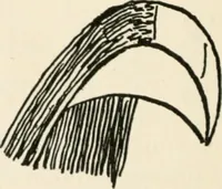 An illustration from Indoor and outdoor recreations for girls (1906)
