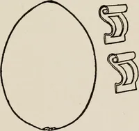An illustration from Indoor and outdoor recreations for girls (1906)