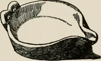 An illustration from Indoor and outdoor recreations for girls (1906)