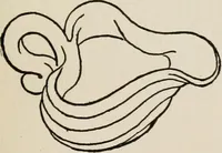 An illustration from Indoor and outdoor recreations for girls (1906)