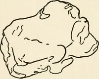 An illustration from Indoor and outdoor recreations for girls (1906)