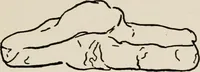 An illustration from Indoor and outdoor recreations for girls (1906)