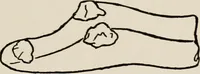 An illustration from Indoor and outdoor recreations for girls (1906)