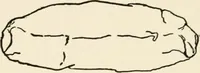 An illustration from Indoor and outdoor recreations for girls (1906)