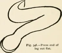 Picture 194 of 329 from Indoor and outdoor recreations for girls (1906), leaf 219