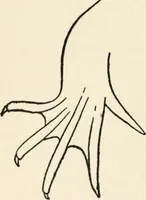 An illustration from Indoor and outdoor recreations for girls (1906)