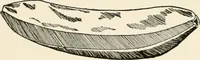 An illustration from Indoor and outdoor recreations for girls (1906)