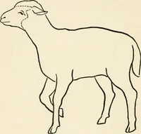 An illustration from Indoor and outdoor recreations for girls (1906)