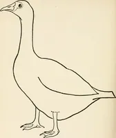 An illustration from Indoor and outdoor recreations for girls (1906)
